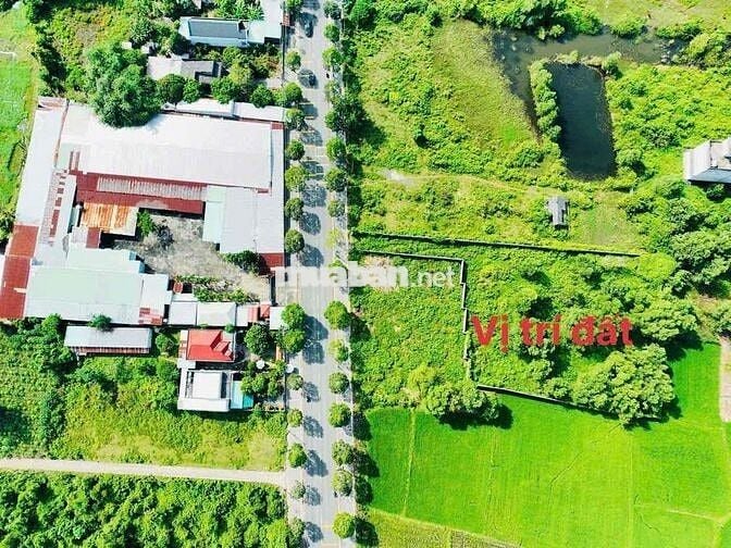 MẶT TIỀN TỈNH LỘ 52 - XÃ ĐẤT ĐỎ - GẦN COFFEE GLAMPING BÒN BON