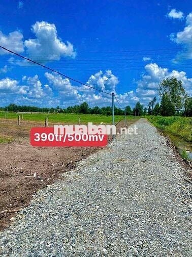 💥💥💥500mv 390tr mặt tiền rộng  👉Đất vườn XÃ BÌNH ĐỨC, TÂY NINH. (Long A