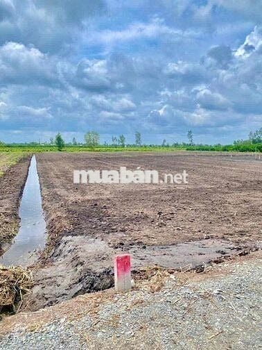 💥💥💥500mv 390tr mặt tiền rộng  👉Đất vườn XÃ BÌNH ĐỨC, TÂY NINH. (Long A