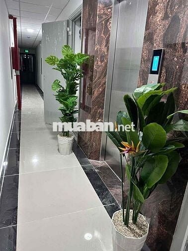 KHAI TRƯƠNG MỚI XÂY TRỌ MẶT TIỀN HÀ HUY GIÁP, GÒ VẤP ĐI CHỈ 5P