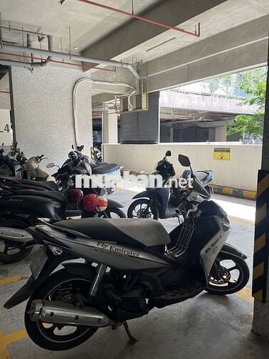 Yamaha Novo 4 2012 Bạc