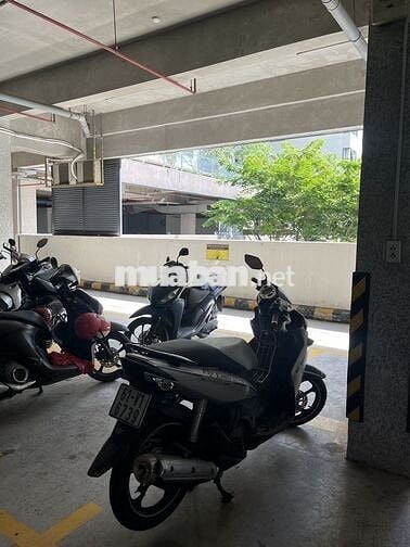 Yamaha Novo 4 2012 Bạc