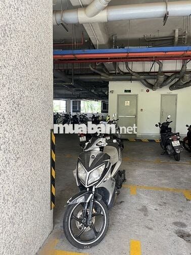 Yamaha Novo 4 2012 Bạc