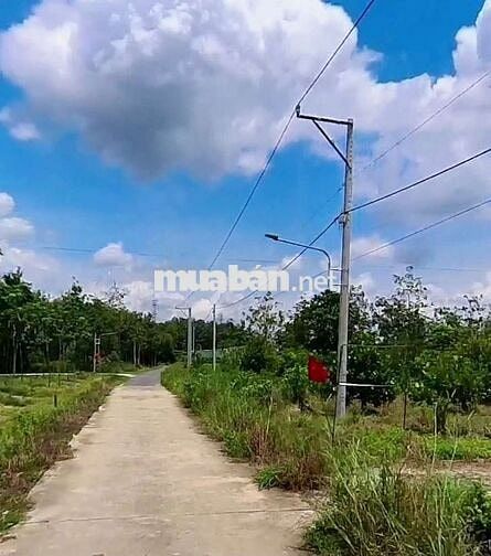 Đất Vườn - Nhánh QL 13 ,ngay 2kcn Minh Hưng