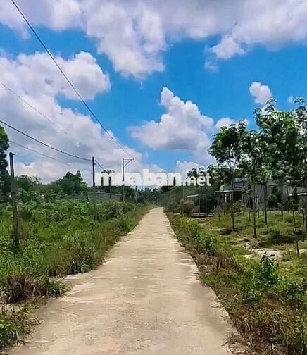 Đất Vườn - Nhánh QL 13 ,ngay 2kcn Minh Hưng