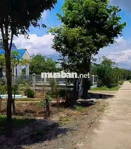 Đất Vườn - Nhánh QL 13 ,ngay 2kcn Minh Hưng