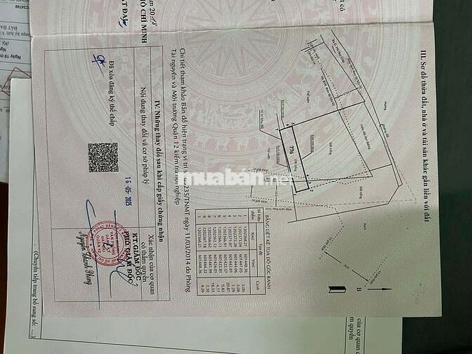 Đất sổ đỏ 125,7m² Phường Thạnh Lộc, Quận 12, TP.HCM