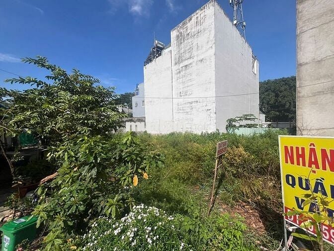 Đất sổ đỏ 125,7m² Phường Thạnh Lộc, Quận 12, TP.HCM