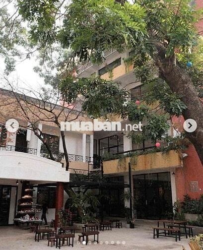 BIỆT THƯ SÂN VƯỜN NẰM NGAY QUẬN BÌNH THẠNH NGANG 25M GIÁ 75TR