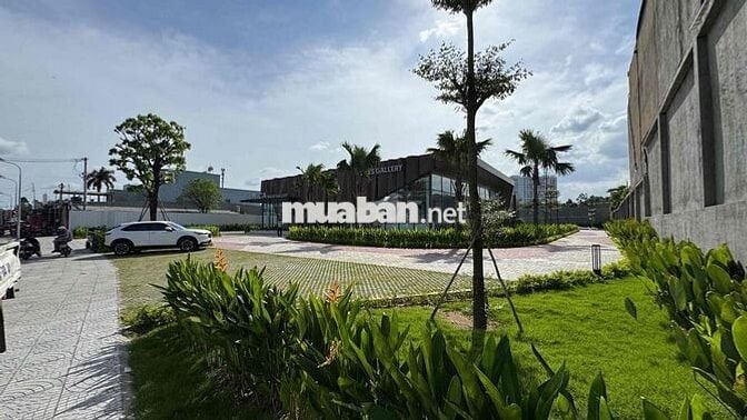 4578m2 có 1000m2 thổ cư đất mặt tiền ngang 61m.Đang cho thuê 80tr/than