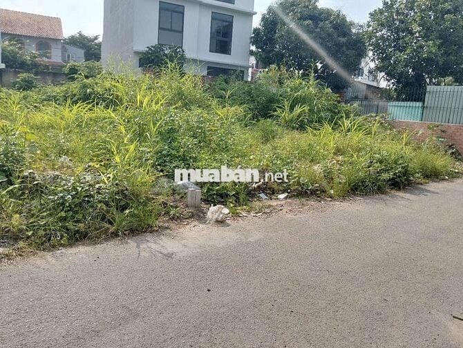 BÁN ĐẤT HXH  ĐƯỜNG SỐ 11 _PHƯỜNG TRƯỜNG THỌ _THỦ ĐỨC _GIÁ :fO _DT:60M²