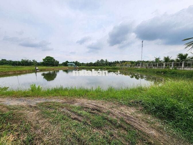 Chủ cần tiền bán nhanh đất lúa, gần đường Cầu Bà Kiểu