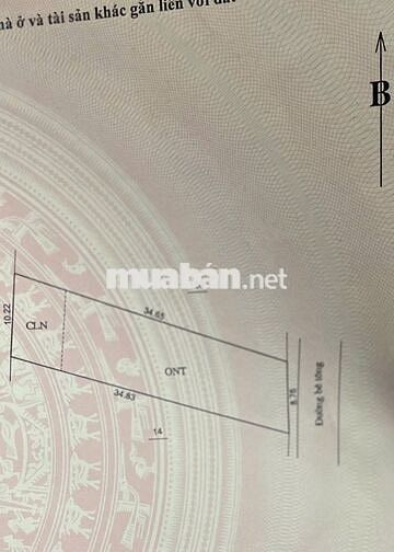 BÁN ĐẤT THỔ CƯ SÁT TRƯỜNG LIÊN CẤP TIỂU HỌC & THCS