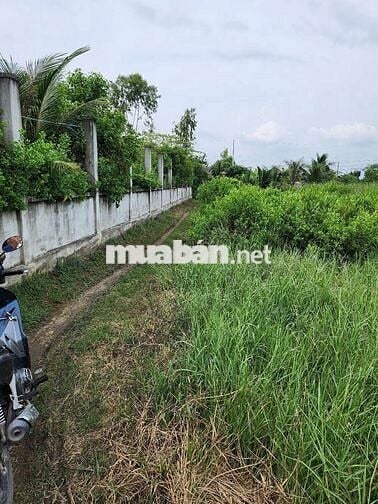 Chủ cần tiền bán nhanh đất lúa, gần đường Cầu Bà Kiểu