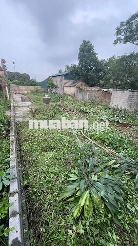 BÁN ĐẤT THỔ CƯ SÁT TRƯỜNG LIÊN CẤP TIỂU HỌC & THCS