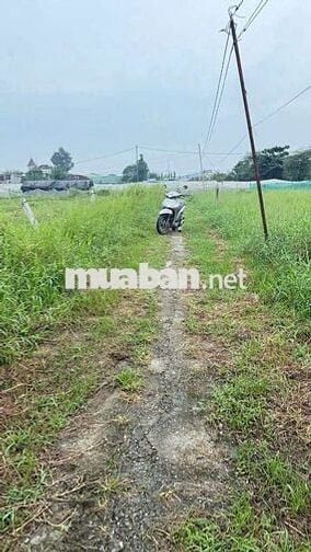 BÁN ĐẤT SỔ ĐỎ RIÊNG. 670M. THÍCH HỢP LÀM VƯỜN, NGHĨ DƯỠNG, TRỒNG RAU .