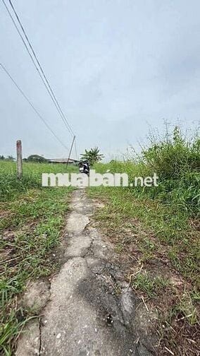 BÁN ĐẤT SỔ ĐỎ RIÊNG. 670M. THÍCH HỢP LÀM VƯỜN, NGHĨ DƯỠNG, TRỒNG RAU .