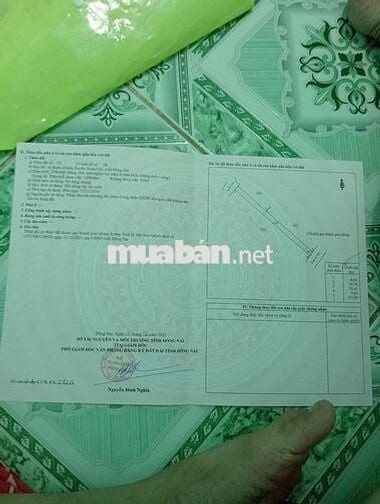 Bán Đất mặt tiền 8m×155m Tỉnh Lộ 766, Xuân Thành, Xuân Lộc, Đồng Nai