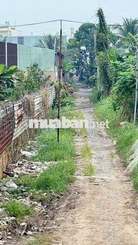 BÁN ĐẤT SỔ ĐỎ RIÊNG. 670M. THÍCH HỢP LÀM VƯỜN, NGHĨ DƯỠNG, TRỒNG RAU .