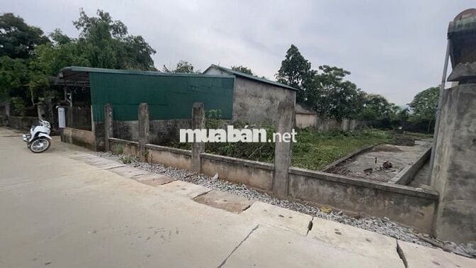 BÁN ĐẤT THỔ CƯ SÁT TRƯỜNG LIÊN CẤP TIỂU HỌC & THCS