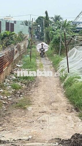 BÁN ĐẤT SỔ ĐỎ RIÊNG. 670M. THÍCH HỢP LÀM VƯỜN, NGHĨ DƯỠNG, TRỒNG RAU .