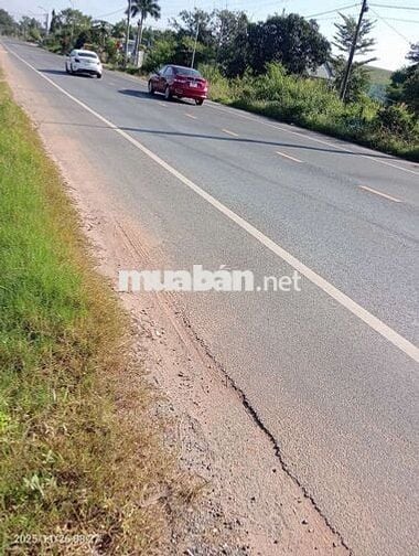 Bán Đất mặt tiền 8m×155m Tỉnh Lộ 766, Xuân Thành, Xuân Lộc, Đồng Nai