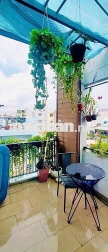 💰🏨 CHDV P12 BÌNH THẠNH – 8 PHÒNG – THU 35TR/TH – GIÁ 7.X TỶ  📍 Vị trí: