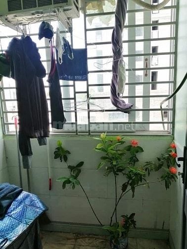 Cho thuê căn hộ chung cư Bảo Quân 15 tầng KCN Khai Quang, Vĩnh Yên, VP