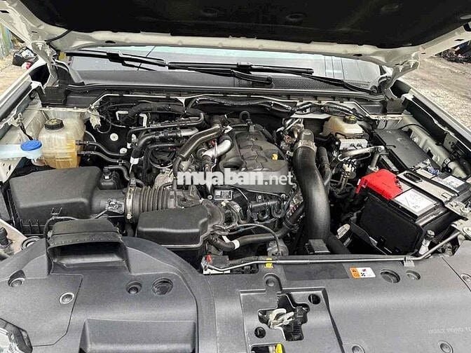Ford Everest Titanium Plus Trắng 10000 km