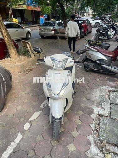 xe 1 chủ từ đầu