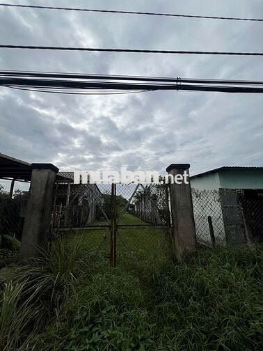 143m2 đất mặt tiền đường Nguyễn Thị Lắng - Tân Phú Trung