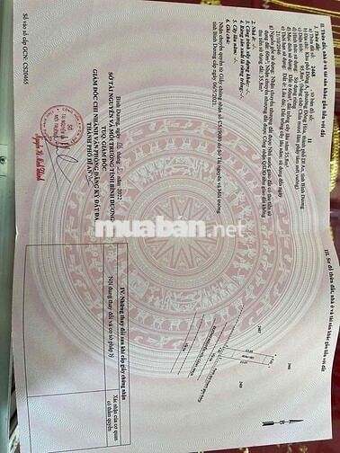 chính chủ cần bán 2 lô đường Nguyễn Hữu Cảnh