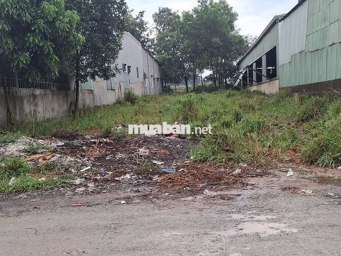 NHANH TAY Sở Hữu Ngay Lô Đất Đẹp tại xãBình Mỹ,Bắc Tân Uyên Bình Dương