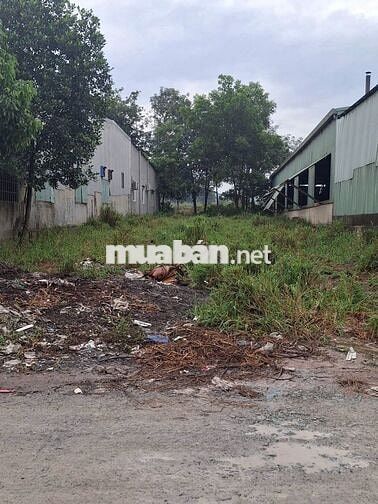 NHANH TAY Sở Hữu Ngay Lô Đất Đẹp tại xãBình Mỹ,Bắc Tân Uyên Bình Dương