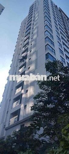 🌺🌺Cần bán nhà MTKD Lê Tấn Bê - An lạc 💰Giá bán : 34 tỷ Tl  🌳🌳Diện tí