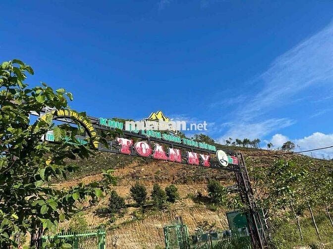 TÔI CẦN BÁN ĐẤT LÀM TRANG TRẠI MINI