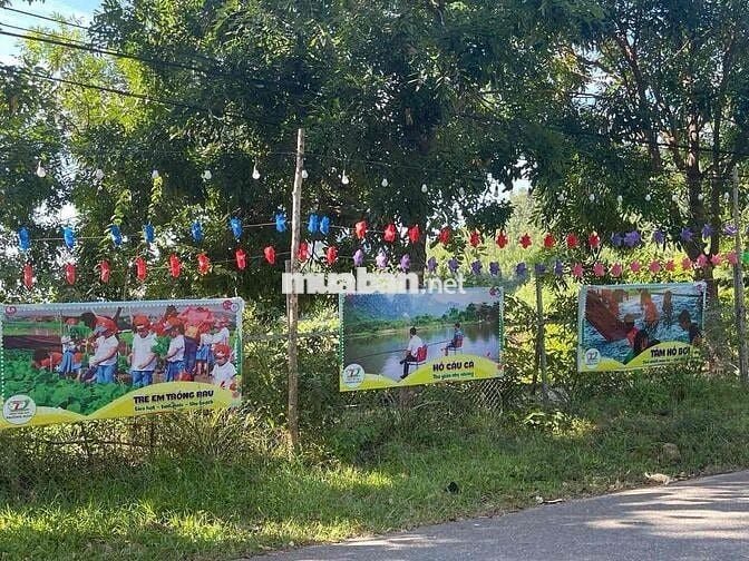 TÔI CẦN BÁN ĐẤT LÀM TRANG TRẠI MINI