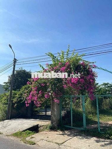 TÔI CẦN BÁN ĐẤT LÀM TRANG TRẠI MINI