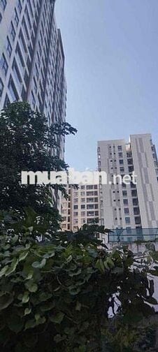 🌺🌺Cần bán nhà MTKD Lê Tấn Bê - An lạc 💰Giá bán : 34 tỷ Tl  🌳🌳Diện tí