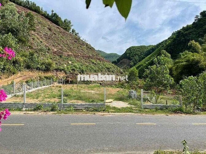 TÔI CẦN BÁN ĐẤT LÀM TRANG TRẠI MINI