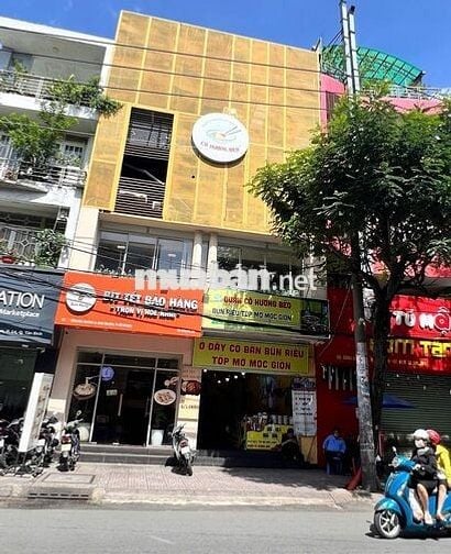 🏡 Cho Thuê Nhà Mặt Tiền Đường Đồng Đen_P14_Tân Bình_8x20m,Trệt 3 Lầu.