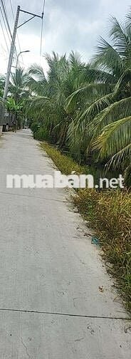 Đất đối diện bệnh viện 100m2 đất nhà cắt ra bán.