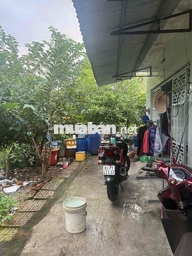 Chính Chủ Cần Bán Gấp Nhà Ở Phan Văn Khoẻ, Gần Quảng Trường