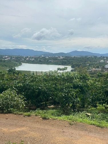 7x40 126 thổ cư mt nhựa view hồ giá 840tr sổ riêng xã Tân Châu