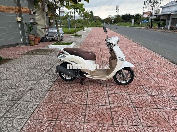 🛵Bán Nozza Máy Êm Ngon Giá Rẻ Cho Ace Về Chạy