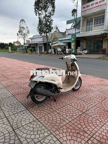 🛵Bán Nozza Máy Êm Ngon Giá Rẻ Cho Ace Về Chạy