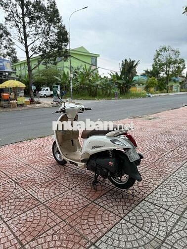 🛵Bán Nozza Máy Êm Ngon Giá Rẻ Cho Ace Về Chạy