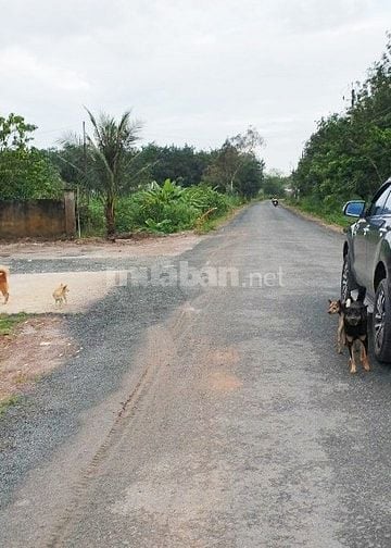 Chính chủ giảm sâu lô đất mặt tiền đường nhựa 30m ở Tân Châu Tây Ninh 