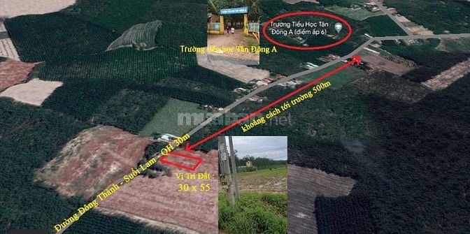 Chính chủ giảm sâu lô đất mặt tiền đường nhựa 30m ở Tân Châu Tây Ninh 