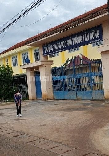 Chính chủ giảm sâu lô đất mặt tiền đường nhựa 30m ở Tân Châu Tây Ninh 